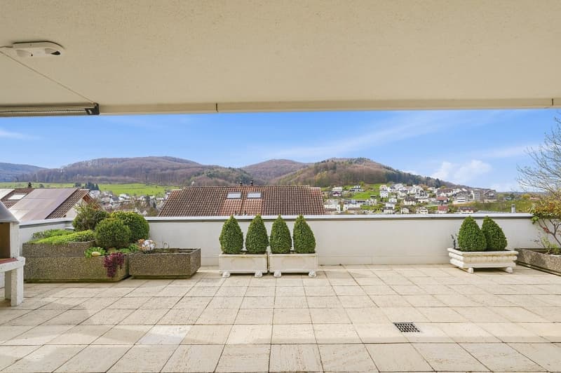 Spacious 5.5-room attic apartment in a sunny, central location (7)