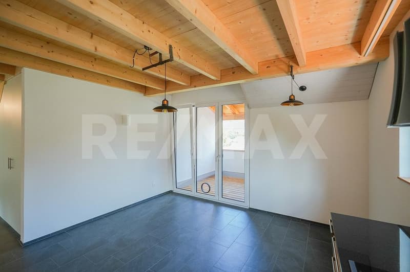 Newly valued 3.5 room attic apartment with additional gallery room (3)