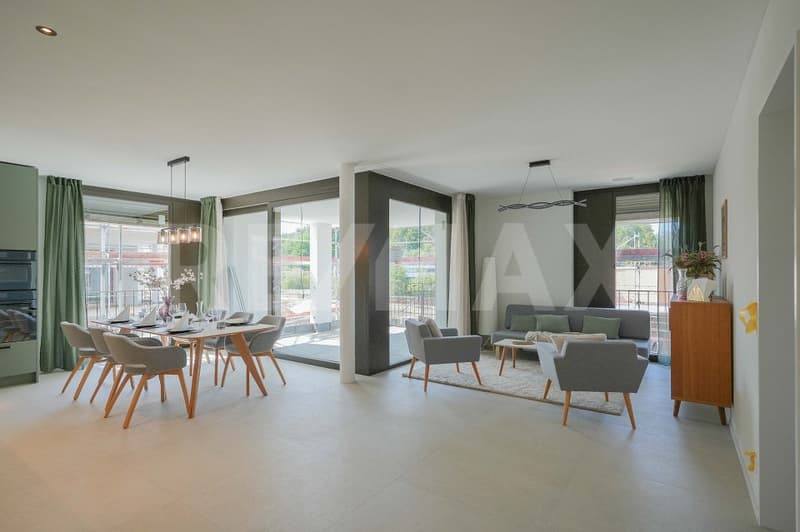 4.5 Zimmer-Wohnung - ERSTVERMIETUNG BLAIE Frick (7)