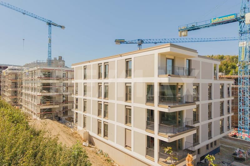 4.5 Zimmer-Wohnung - ERSTVERMIETUNG BLAIE Frick (2)