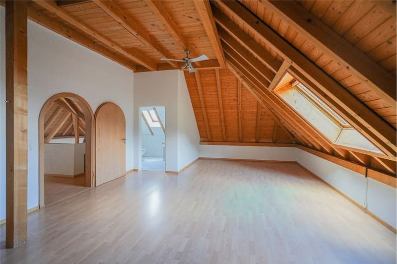 Abitare spazioso su oltre 260 m² (5)