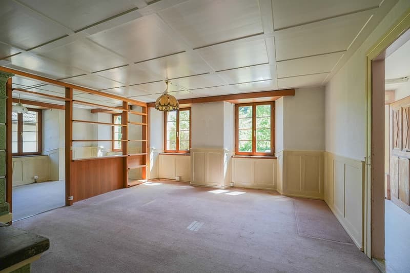 Für Macher und Individualisten: Umbauobjekt mit ca. 1900 m² Land (2)