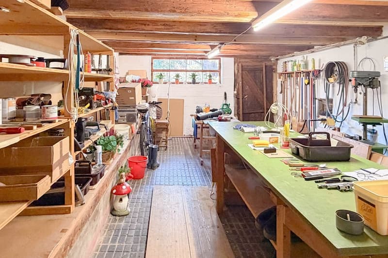 Gepflegtes Bauernhaus aus alten Zeiten (8)
