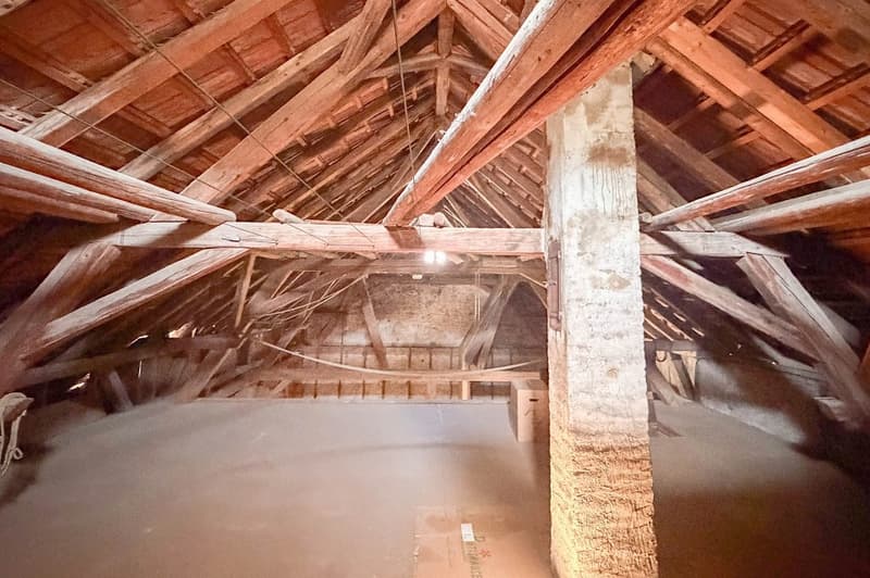 Gepflegtes Bauernhaus aus alten Zeiten (13)