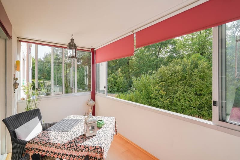 Gepflegte 4.5 Zimmer-Wohnung mitten im Dorf (9)