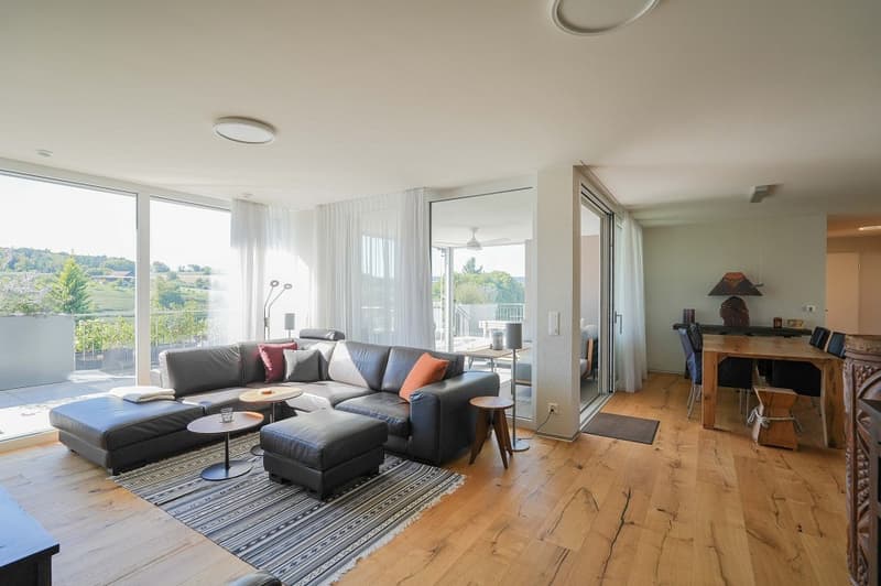 Schöner Wohnen! Klimatisierte 5.5 Zimmer-Terrassenwohnung (5)
