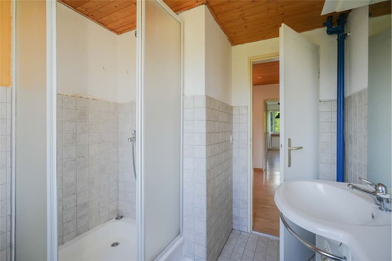 DIE Gelegenheit! 4.5 Zimmer-Gartenwohnung mit Nebenräumen (4)