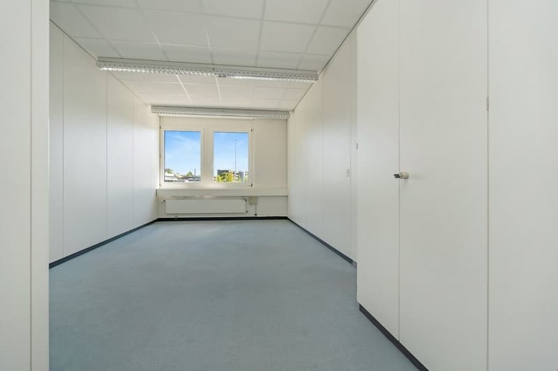 Bild5.jpg