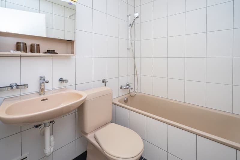 Exklusives Studio in Nidau - Wohnen mit Stil und Komfort! (6)