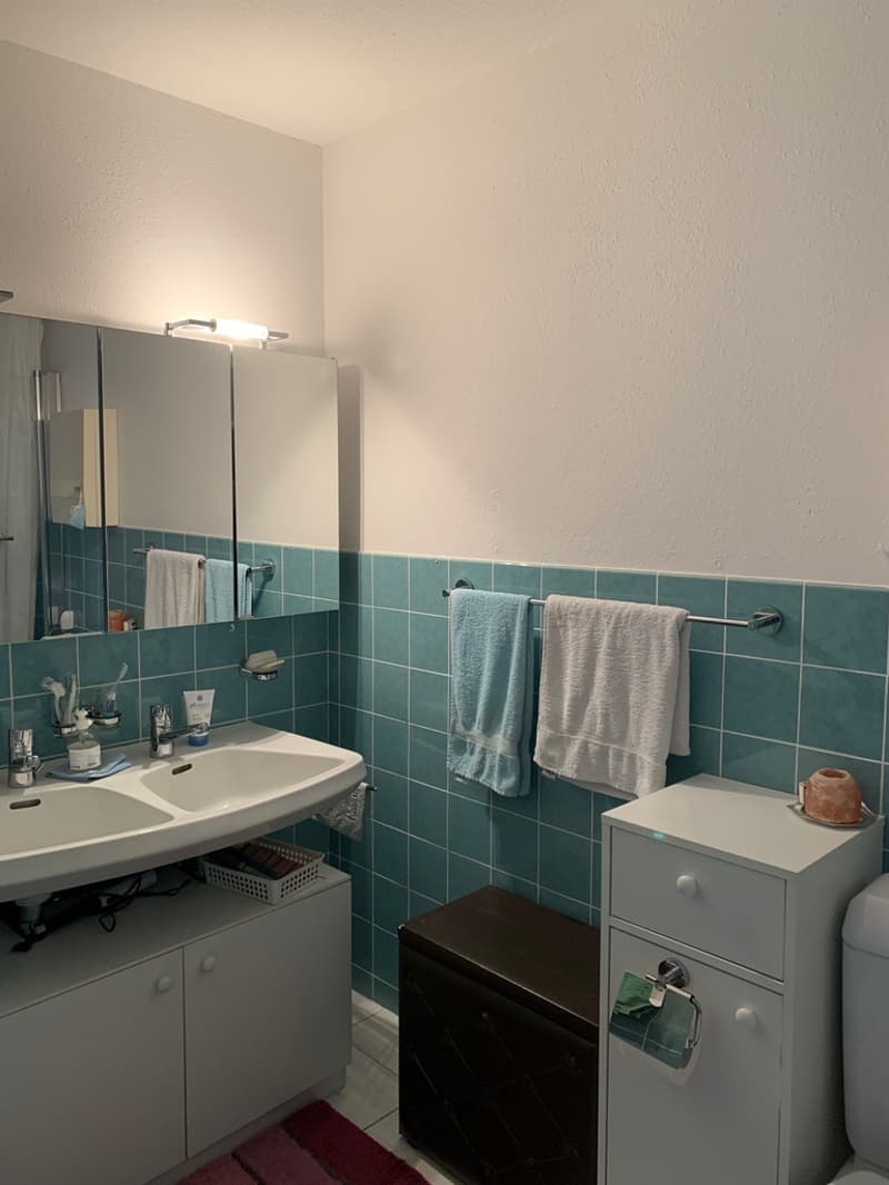 Appartamento luminoso 4.5 locali nel popolare Zürich-Wollishofen (8)