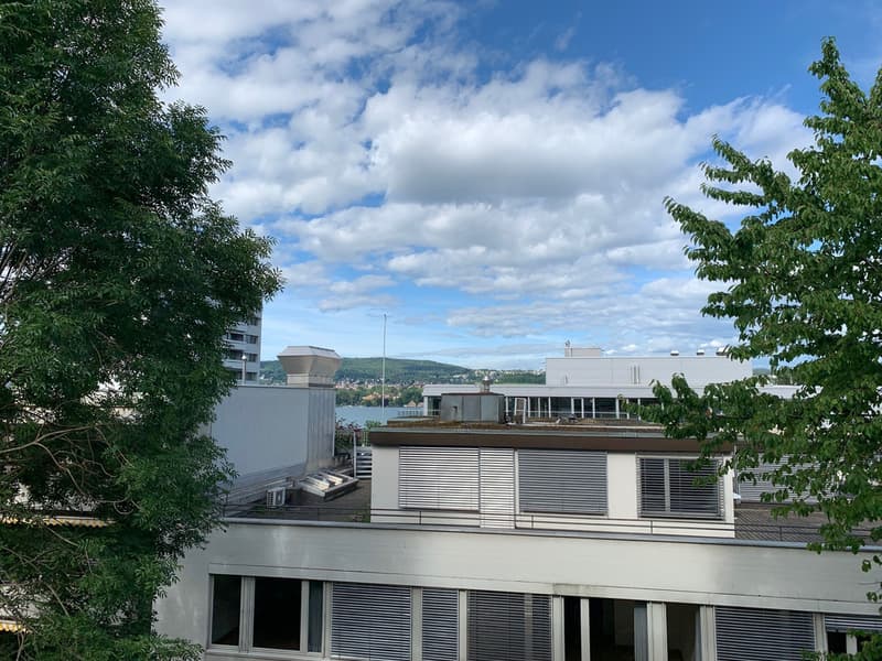 Appartamento luminoso 4.5 locali nel popolare Zürich-Wollishofen (2)