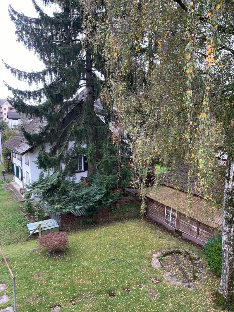 Aussicht vom Balkon