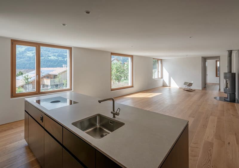 4.5/5.5-Zimmer-Familienwohnung, NWF 125 m² (BGF 152 m²) + 60 m² Gartenanteil (5)