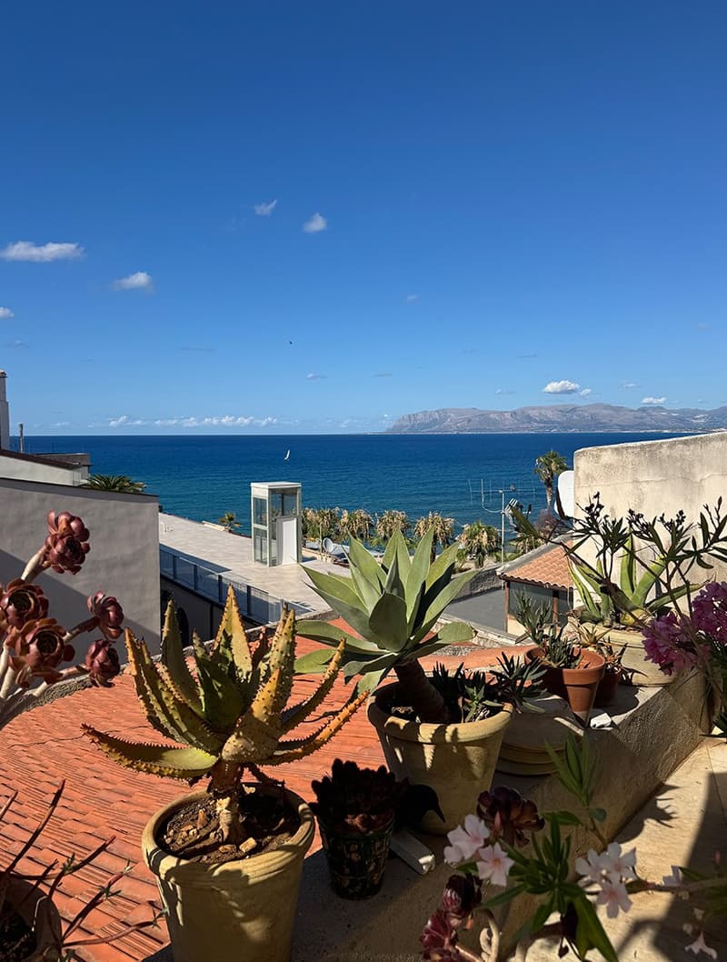 Red roof, multiple potted plants, sea view, buildings and mountains in the distance