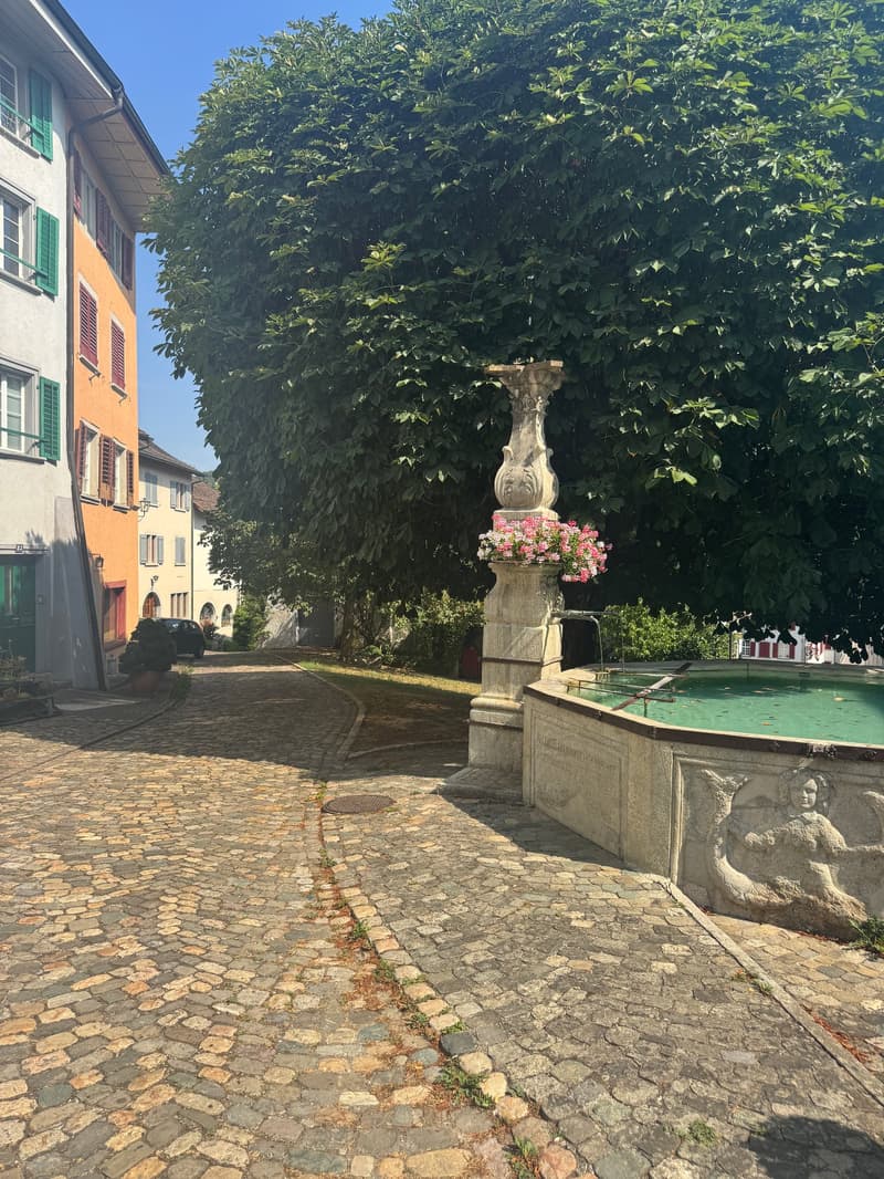 Das Leben ist im Fluss – doch will man es festhalten (7)