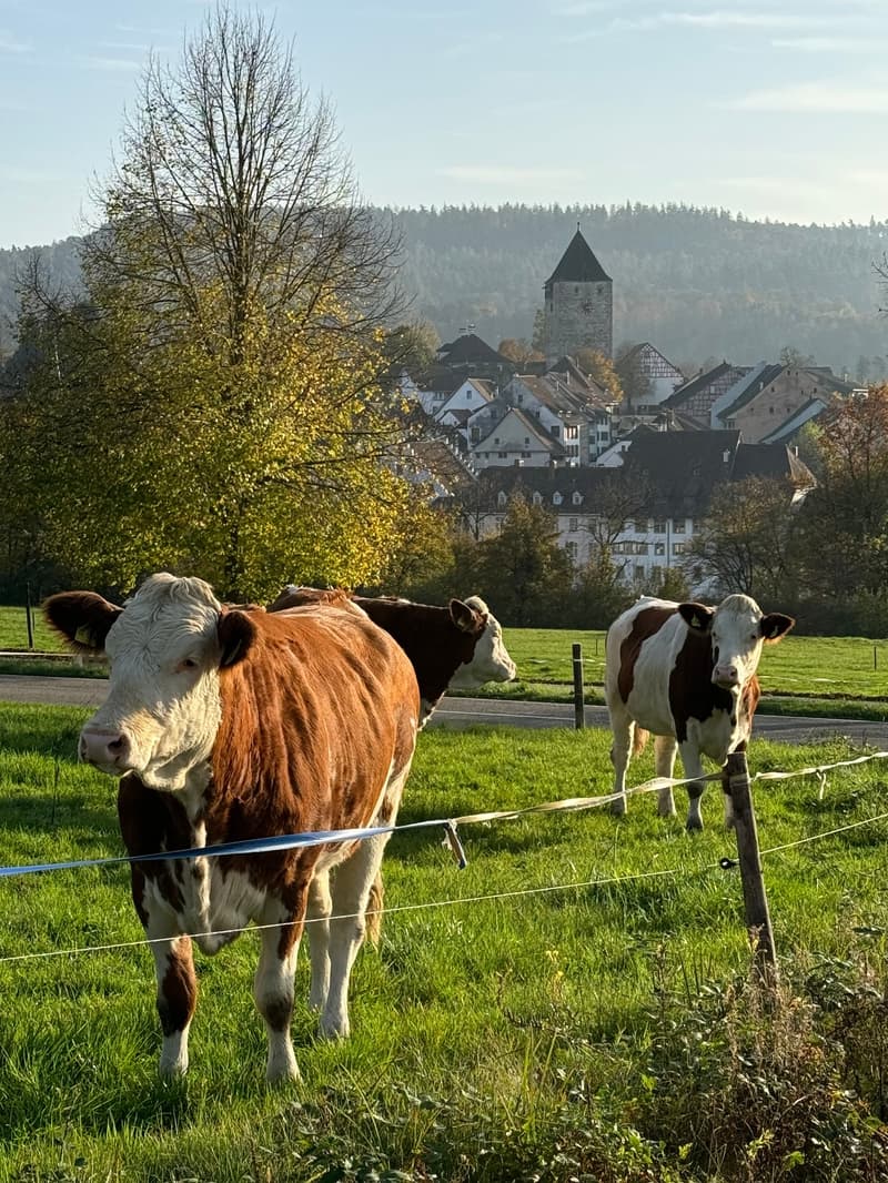 Das Leben ist im Fluss – doch will man es festhalten (3)