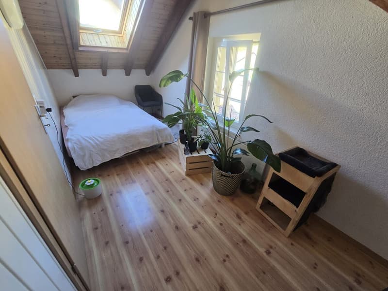 Magnifique appartements de 3 1/2 pièces à Froideville (6)