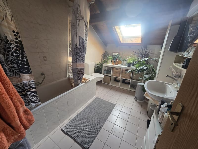 Magnifique appartements de 3 1/2 pièces à Froideville (5)