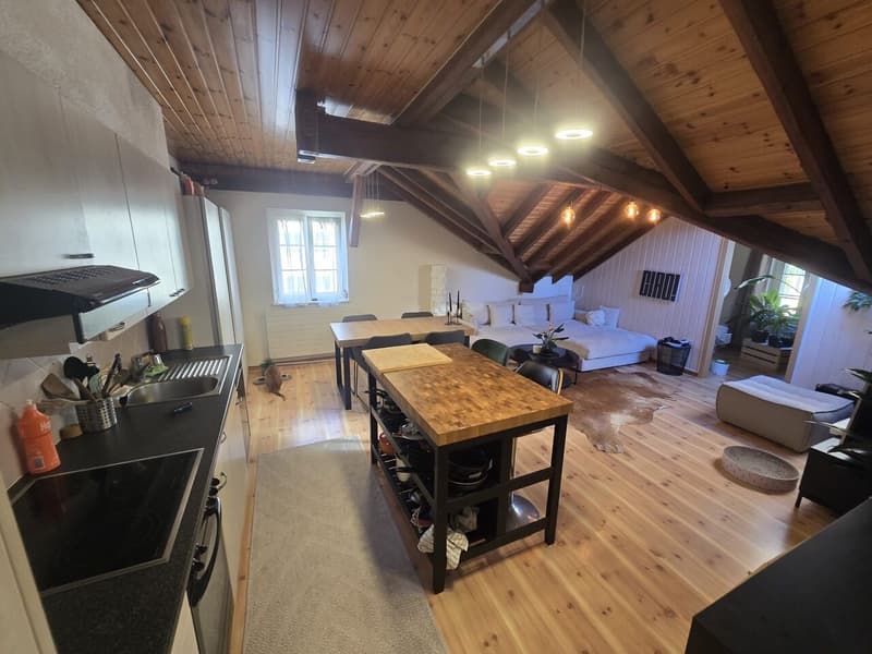 Magnifique appartements de 3 1/2 pièces à Froideville (2)