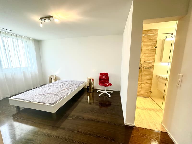 Appartamento moderno 4.5 locali a Wettswil am Albis (11)