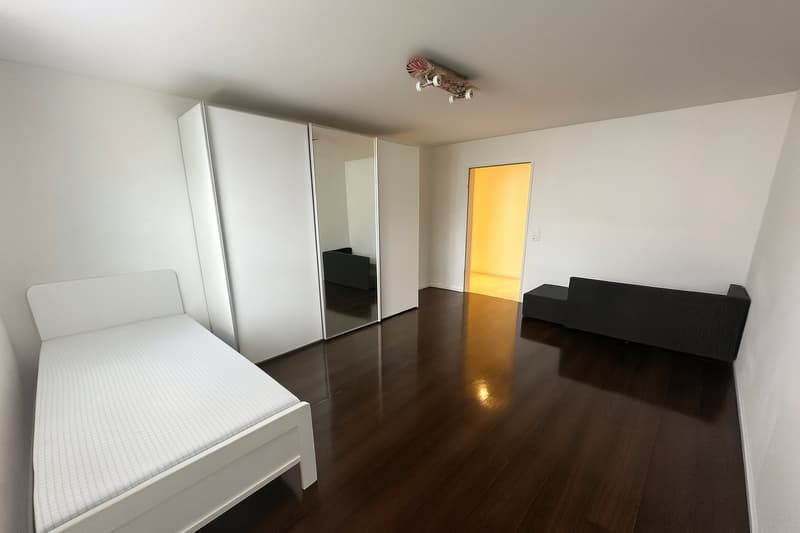 Appartamento moderno 4.5 locali a Wettswil am Albis (2)