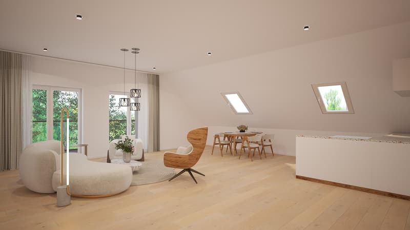 Modern Living in Schleitheim (7)