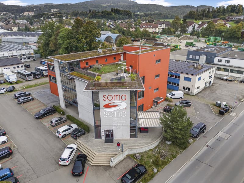 Oggetto industriale e commerciale polivalente ad Affoltern am Albis (3)
