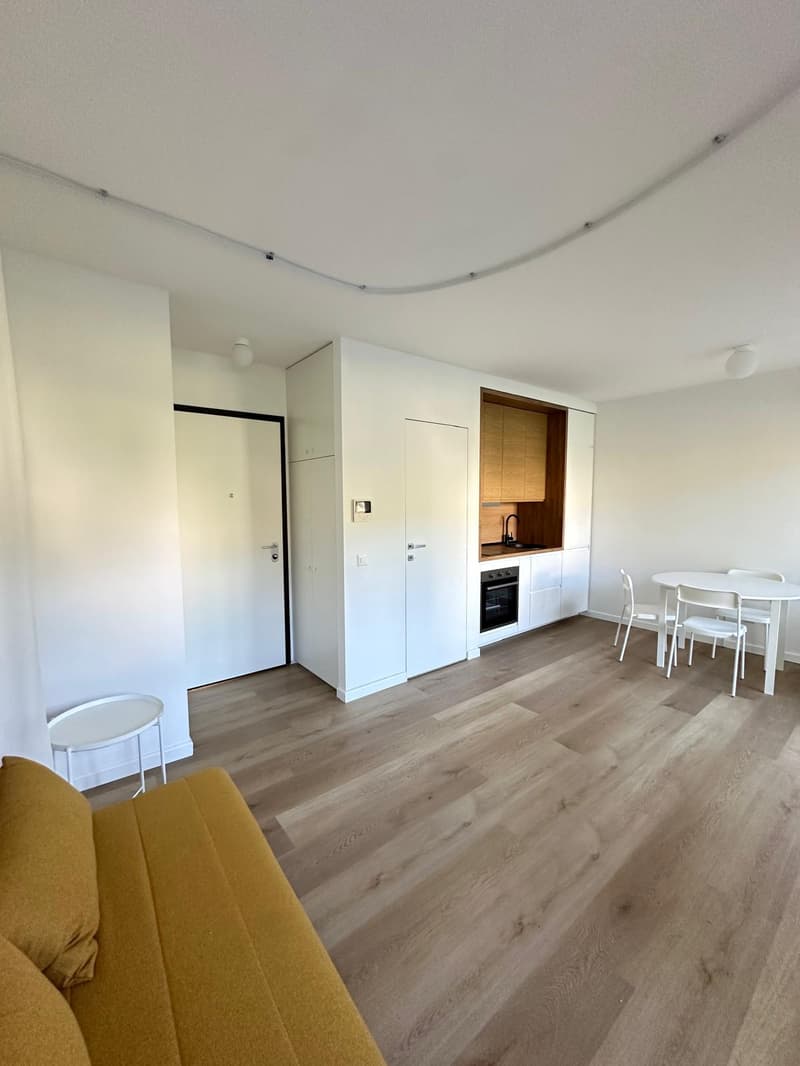 Appartement convivial de 1,5 pièces à Paradiso, Lugano (8)