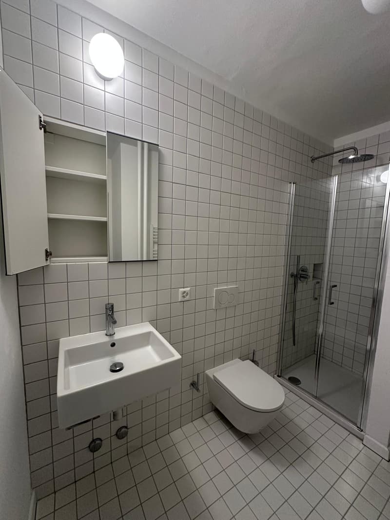 Appartement convivial de 1,5 pièces à Paradiso, Lugano (11)