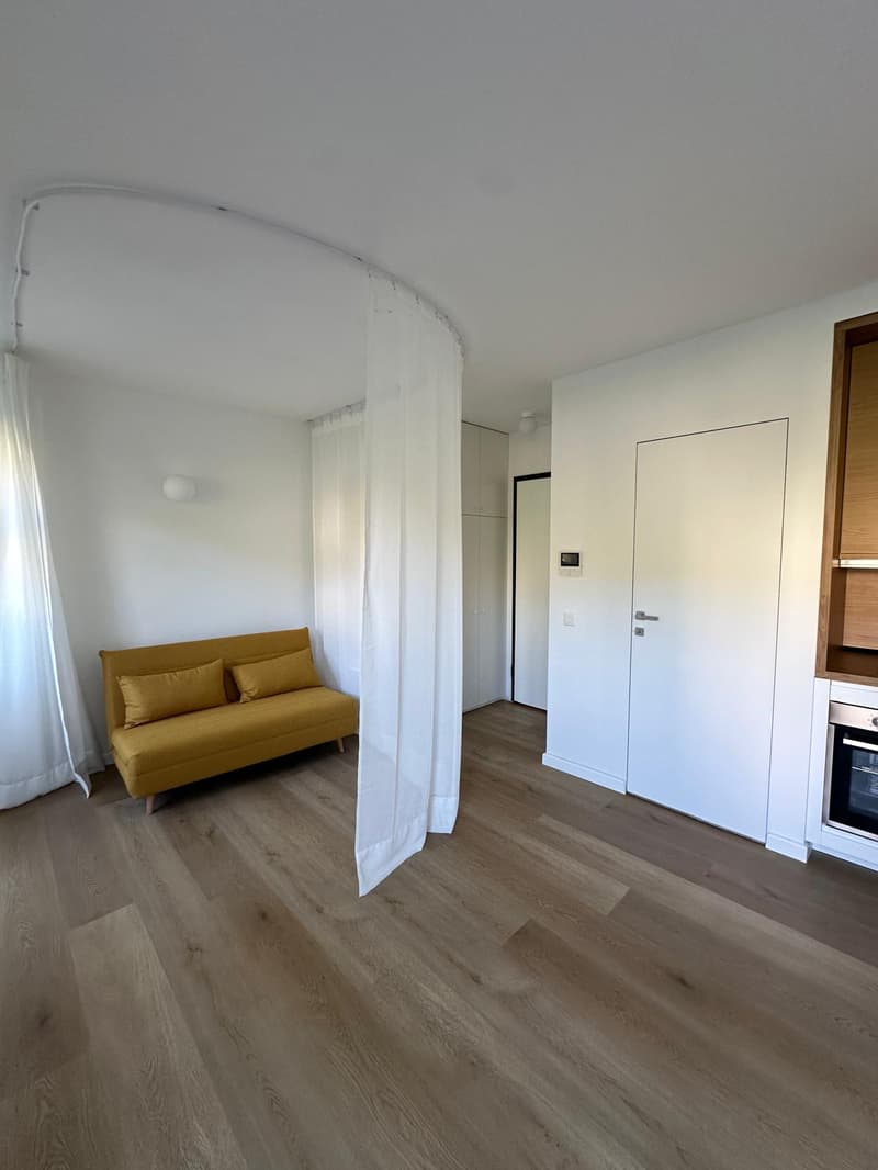 Appartement convivial de 1,5 pièces à Paradiso, Lugano (13)