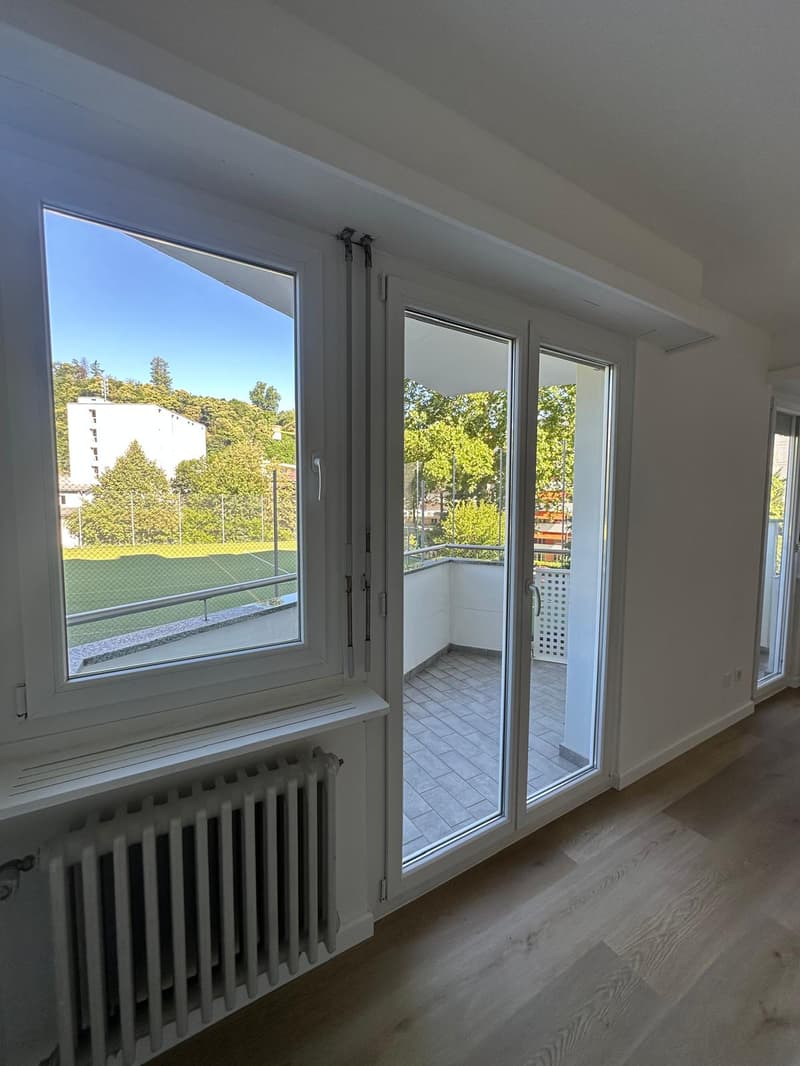 Appartement convivial de 1,5 pièces à Paradiso, Lugano (2)