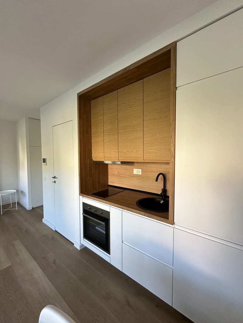 Appartement convivial de 1,5 pièces à Paradiso, Lugano (3)