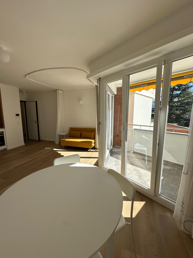Appartement convivial de 1,5 pièces à Paradiso, Lugano (6)
