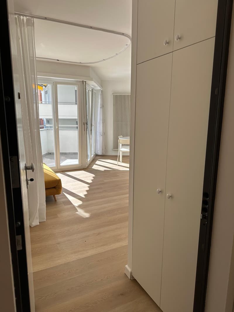 Appartement convivial de 1,5 pièces à Paradiso, Lugano (4)