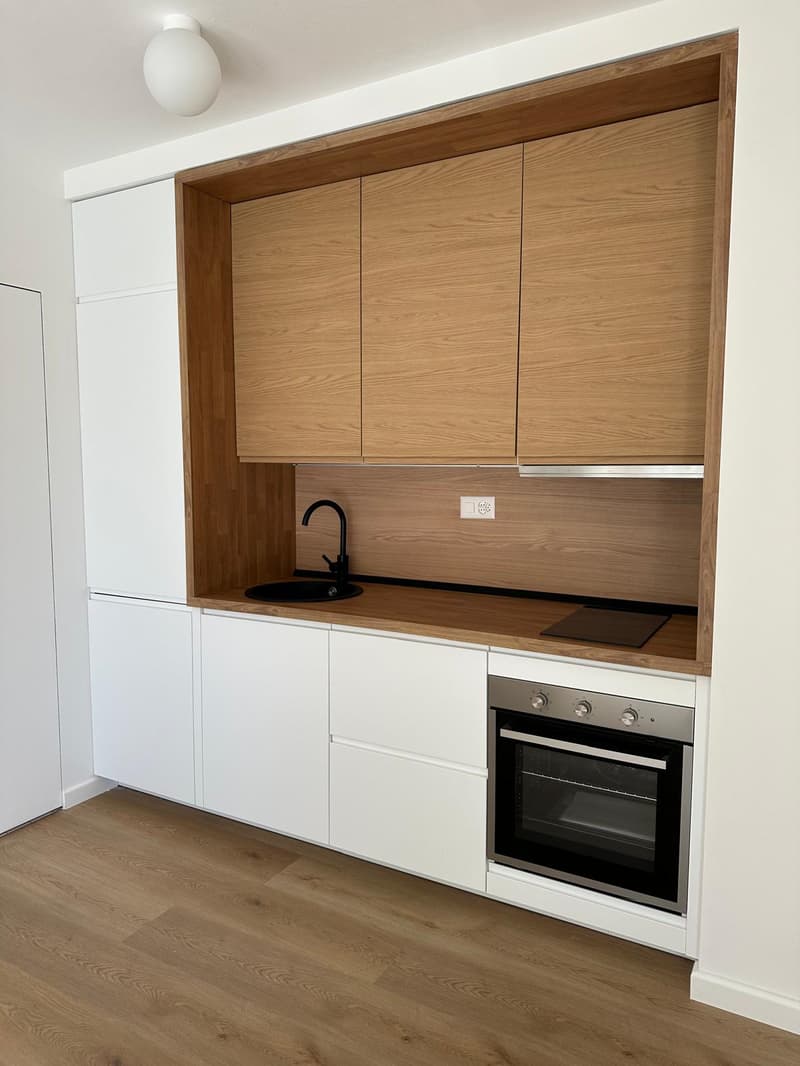 Appartement convivial de 1,5 pièces à Paradiso, Lugano (3)