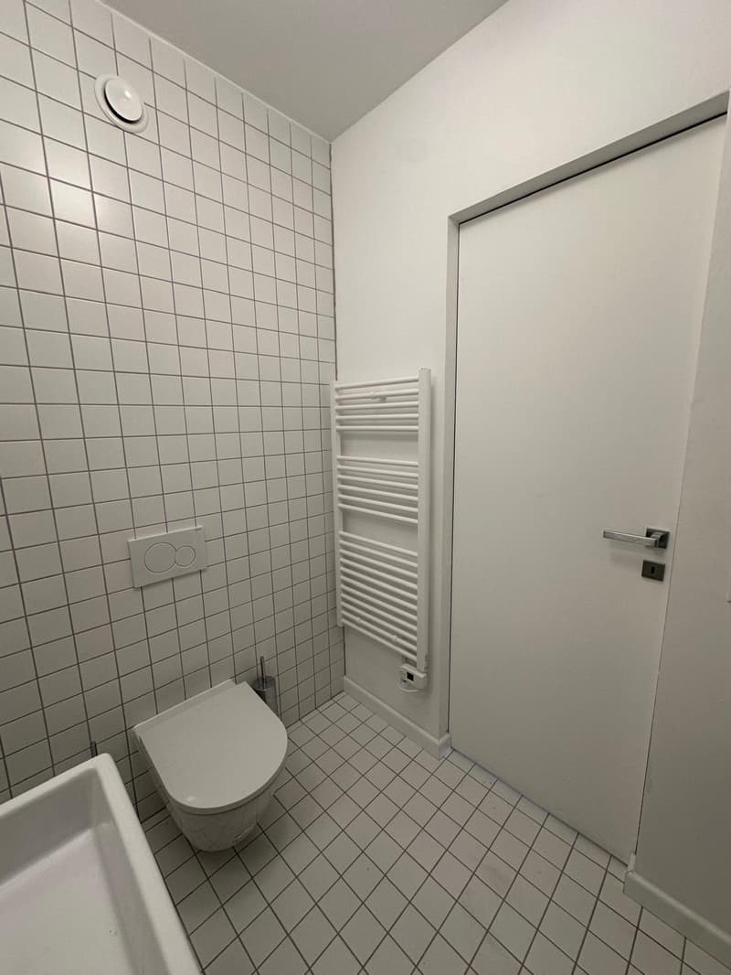 Appartement convivial de 1,5 pièces à Paradiso, Lugano (12)