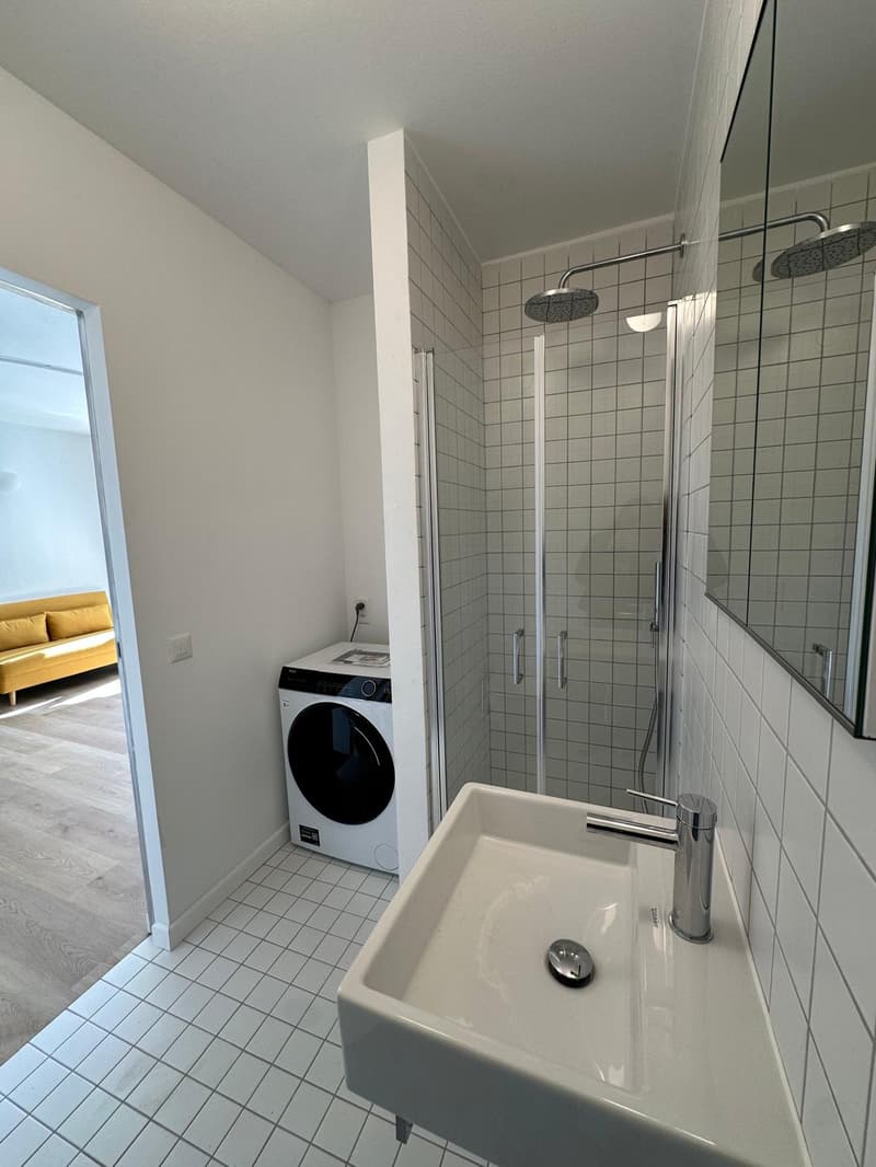 Appartement convivial de 1,5 pièces à Paradiso, Lugano (14)