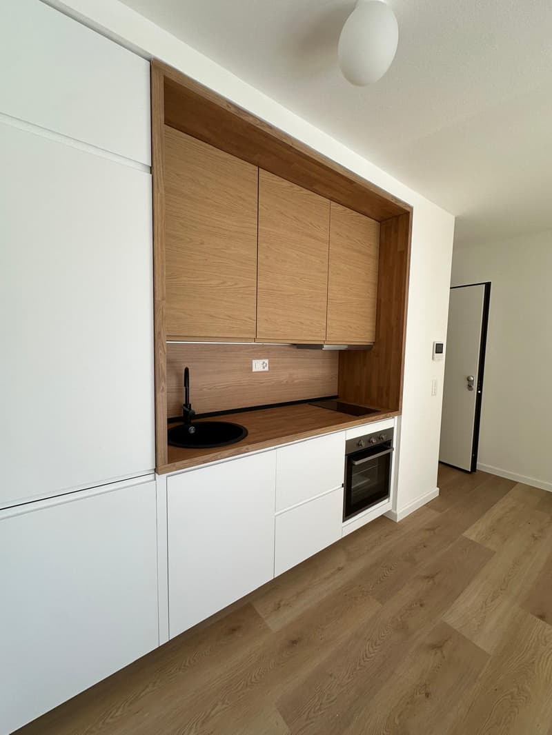 Appartement convivial de 1,5 pièces à Paradiso, Lugano (2)