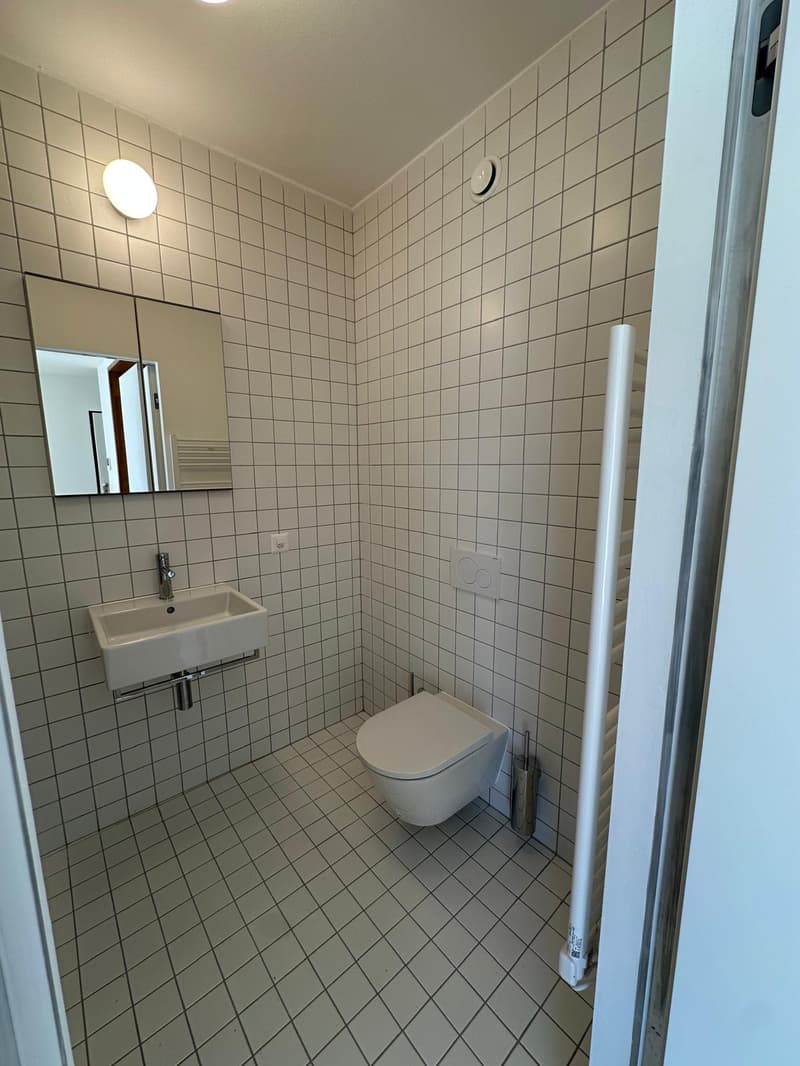 Appartement convivial de 1,5 pièces à Paradiso, Lugano (13)