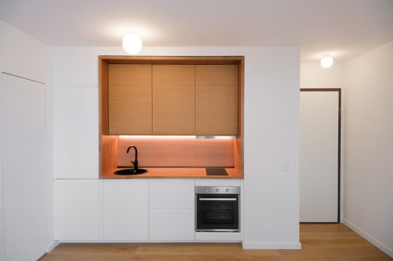 Cozy 1.5-room apartment in Paradiso, Lugano (1)