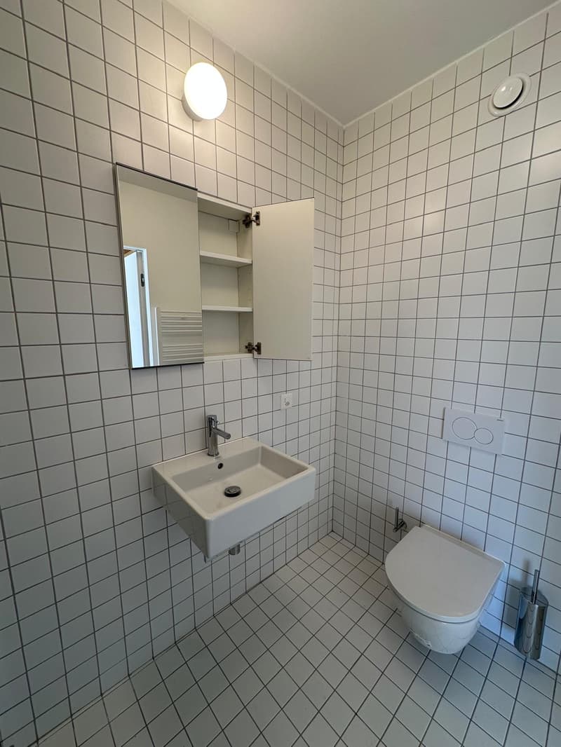 Appartement convivial de 1,5 pièces à Paradiso, Lugano (11)
