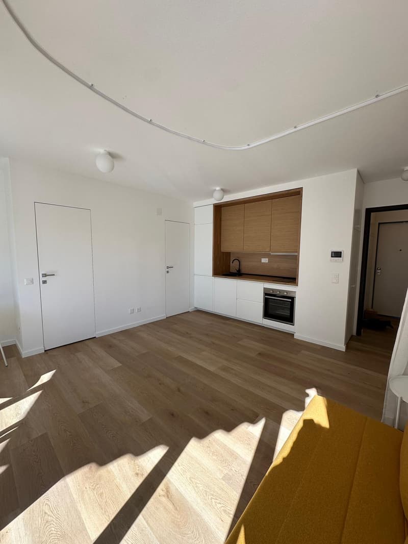 Appartement convivial de 1,5 pièces à Paradiso, Lugano (1)