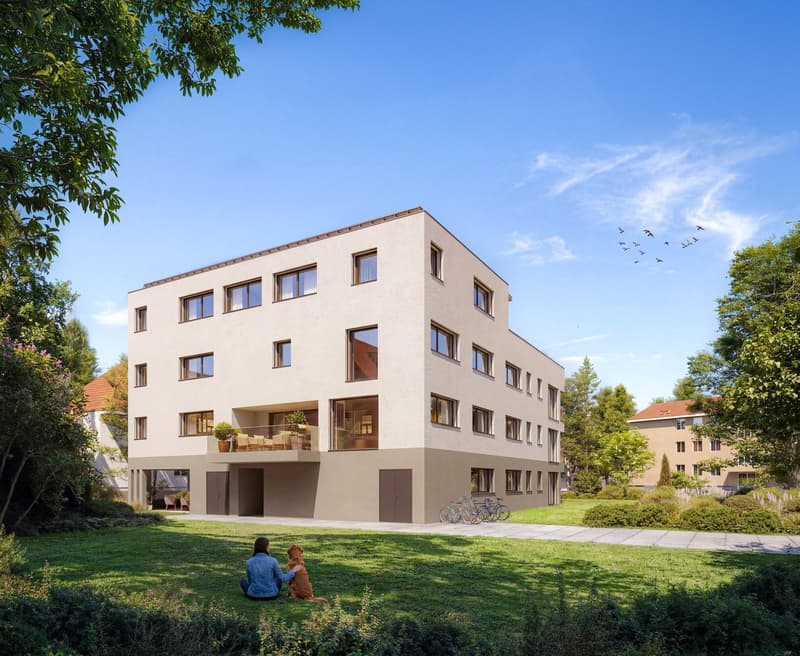 Living on Pilatusweg in Zofingen – Redefining exclusivity (3)