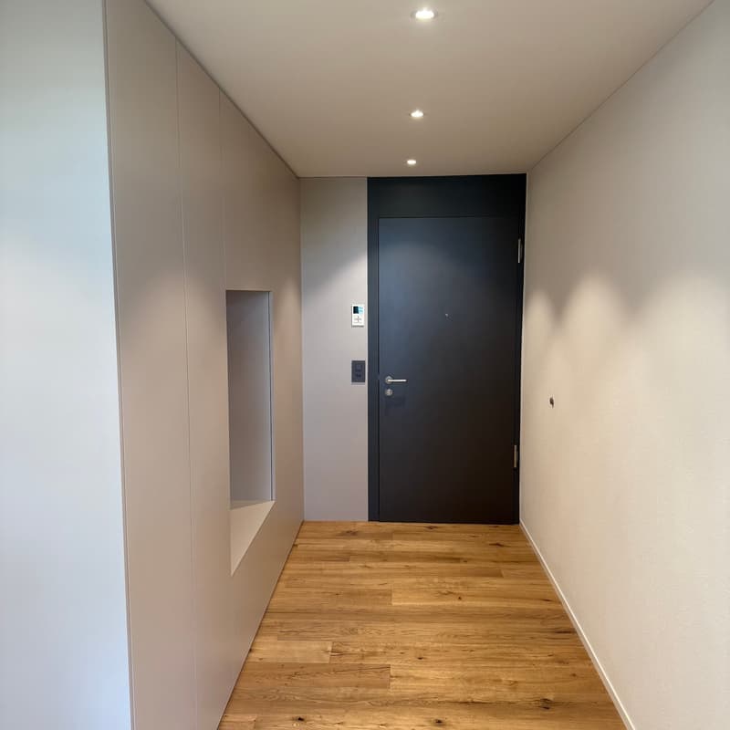 Ultimo Appartamento!!! Appartamento 4.5 locali moderno a Rothrist - Vivere sostenibile con stile (3)