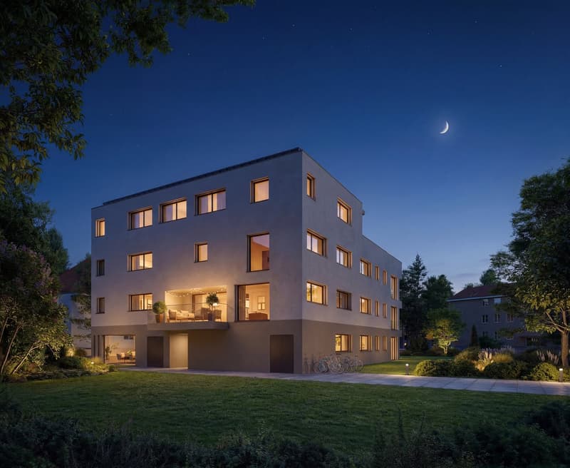 ATTICO ESCLUSIVO - VIVERE SUL PILATUSWEG a Zofingen (11)