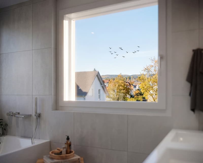 ATTICO ESCLUSIVO - VIVERE SUL PILATUSWEG a Zofingen (9)