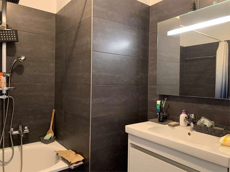 Elegant 3.5 rooms with beautiful view and maximum tranquility (6)