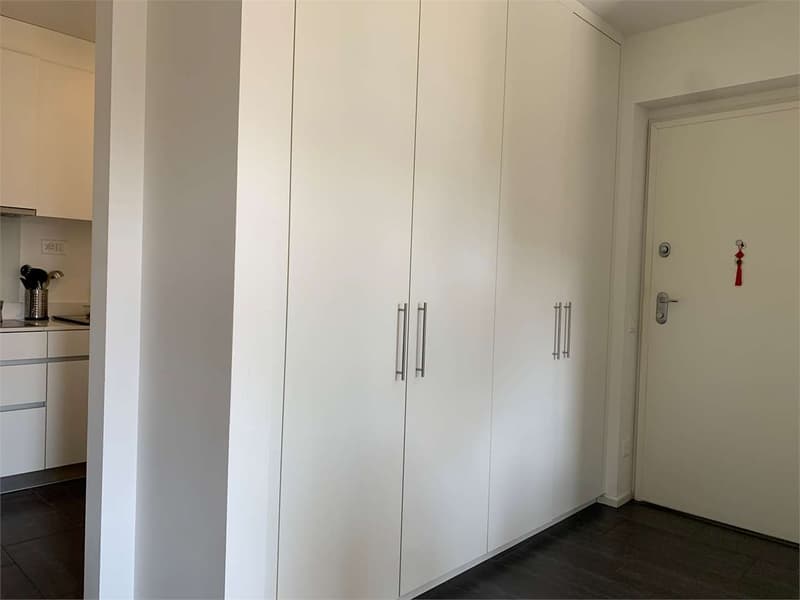 Elegant 3.5 rooms with beautiful view and maximum tranquility (4)