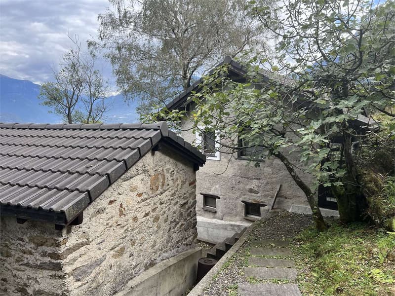 Rustic house with studio, surrounded by plenty of greenery and peace (1)