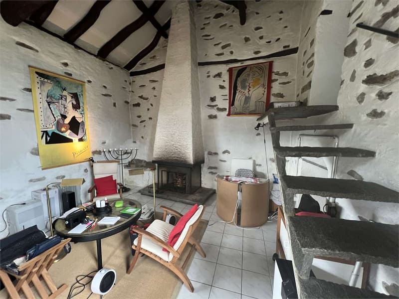 Rustic house with studio, surrounded by plenty of greenery and peace (2)